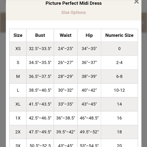 AMARYLLIS Picture Perfect Midi Dress - Picture 7 of 7